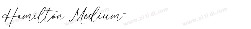 Hamilton Medium字体转换